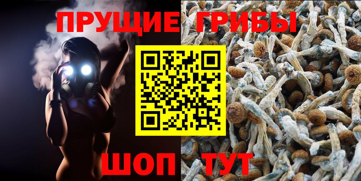 Свободный  Псилоцибиновые грибы Psilocybine cubensis  Вход с VPN 